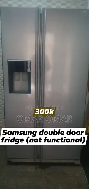 Samsung Double Door