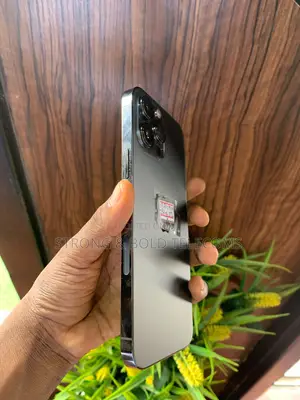 Apple iPhone 13 Pro Max 256 GB