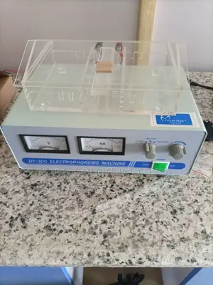 Axiom Electrophoresis Machine
