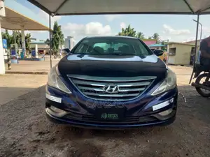 Hyundai Sonata 2014 Blue