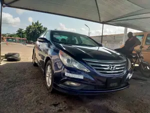 Hyundai Sonata 2014 Blue