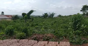 4 Plots of Lands for Sale at Papalanto