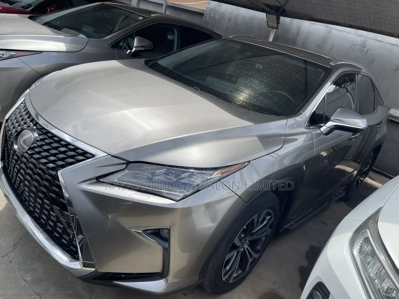 Lexus RX 2019 Gray