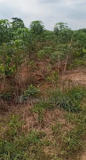 Plot of Land for Sale
