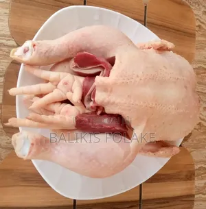 Organic Broiler Chicken