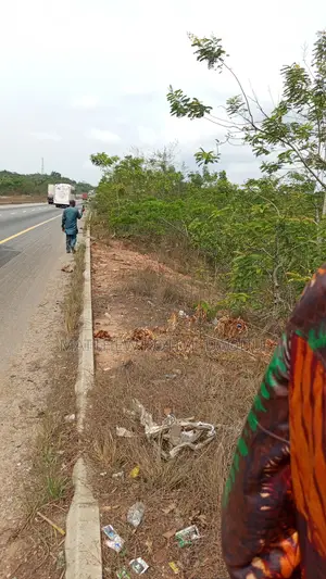153 Acres Directly on Lagos Ibadan Expressway, Ishara Axis C of O