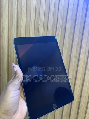 Apple iPad mini 5 64 GB Gray
