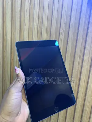 Apple iPad mini 5 64 GB Gray