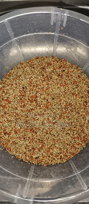 Goldengrain Pap