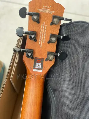 Bullfighter Electroacoustic/Semi Acoustic Guitar