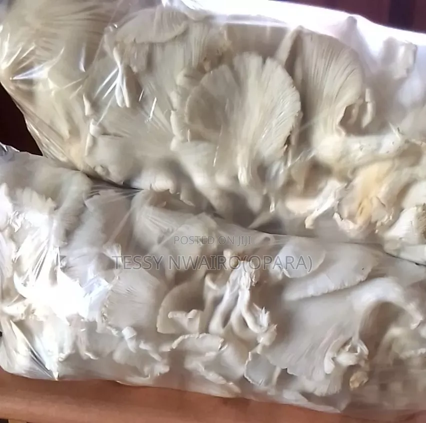 Fresh, Soft, White Oyster Edible Mushrooms