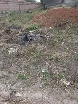Half Plot of Land