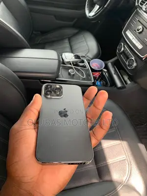 Apple iPhone 13 Pro Max 256 GB Gray