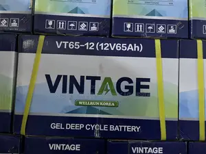Vintage 65ah 12v Deep Cycle Gel Battery