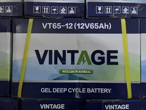 Vintage 65ah 12v Deep Cycle Gel Battery