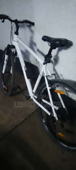Neatly Used Mountain Bicycle