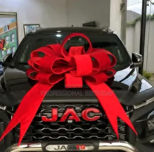 Fabric Car Bow and Big Card Bow