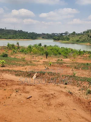 Strategic Plot in Asokoro
