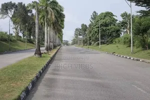9.8 Hectares of Land at Nwaniba