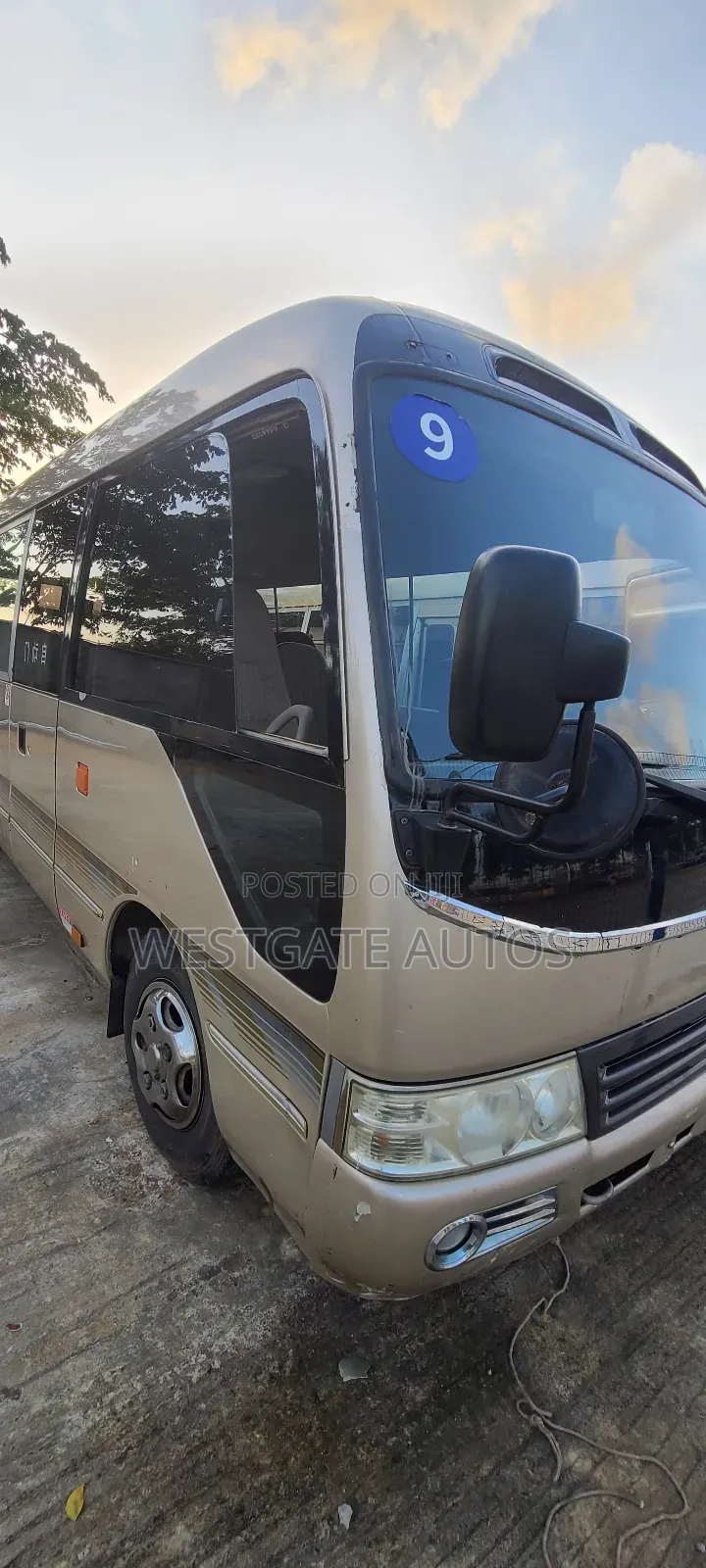Toyota Coaster 2015 Brown