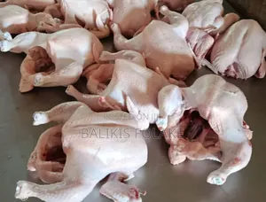 Organic Broiler Chicken
