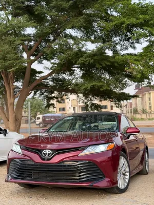 Toyota Camry XLE V6 (3.5L V6 8A) 2019 Burgundy