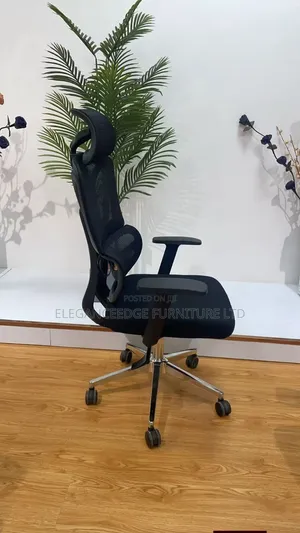 Mesh Executive Ergonomic Office Chaira