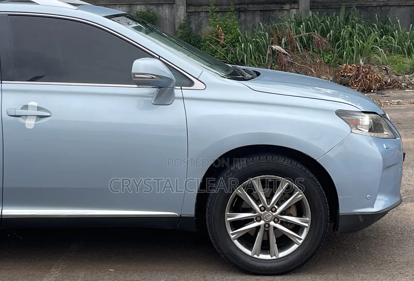 Lexus RX 2010 Blue