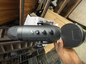 Dynamic Podcast Microphone