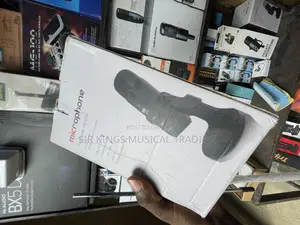 Dynamic Podcast Microphone