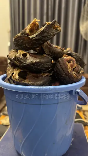 Premium Dry Catfish –Clean, Smoked to Perfection, and Full of Flavor!