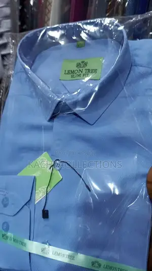 Sky Blue Shirt