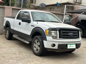 Ford F-150 FX4 2010 White