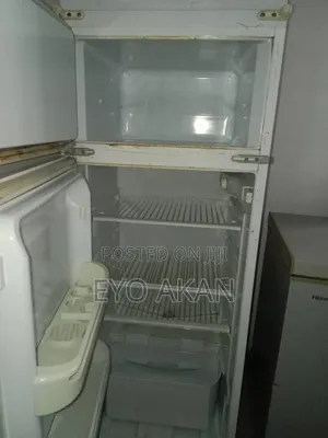 Fridge and Freezer
