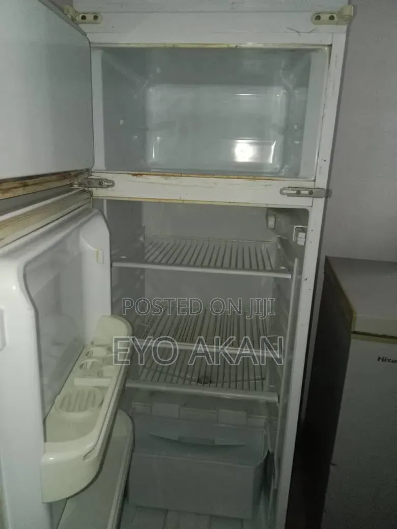 Fridge and Freezer