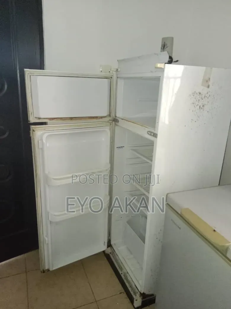 Fridge and Freezer
