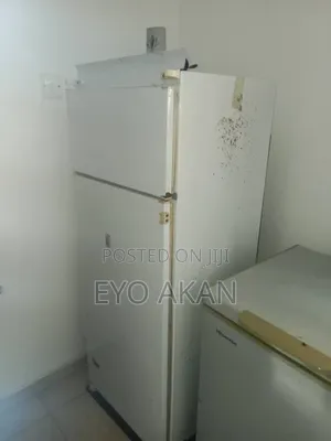 Fridge and Freezer