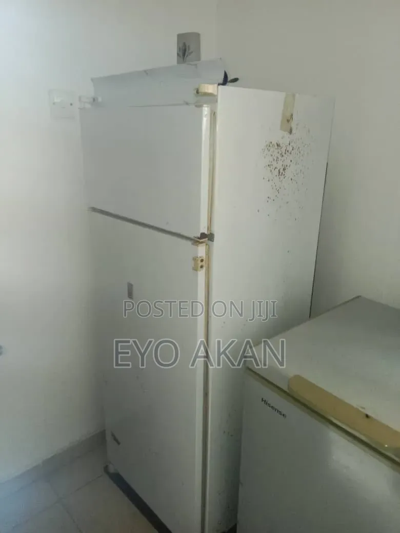 Fridge and Freezer