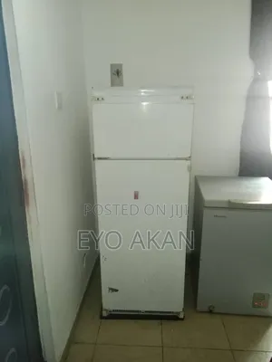 Fridge and Freezer