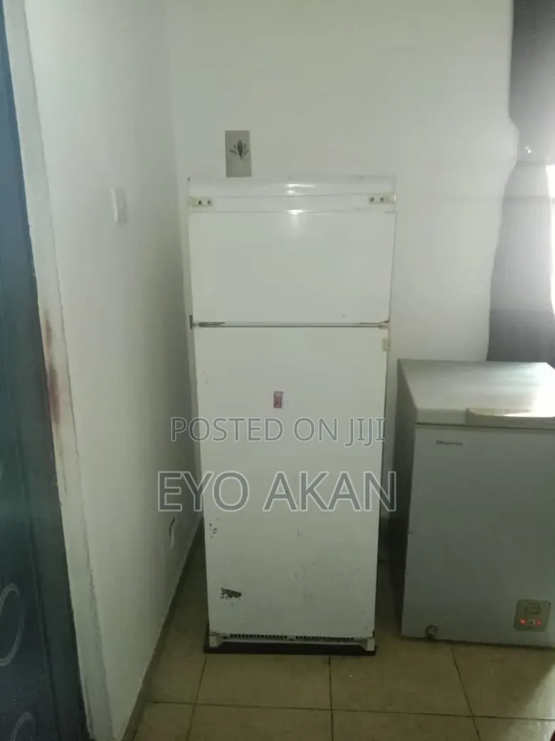 Fridge and Freezer
