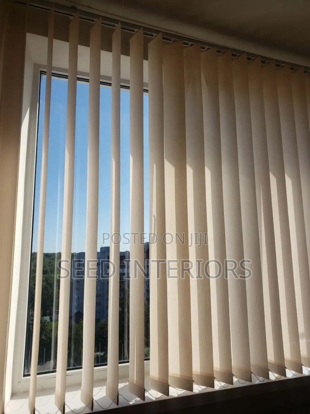 Window Blinds