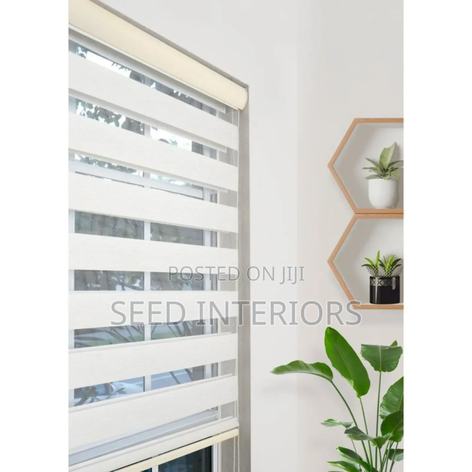 Window Blinds