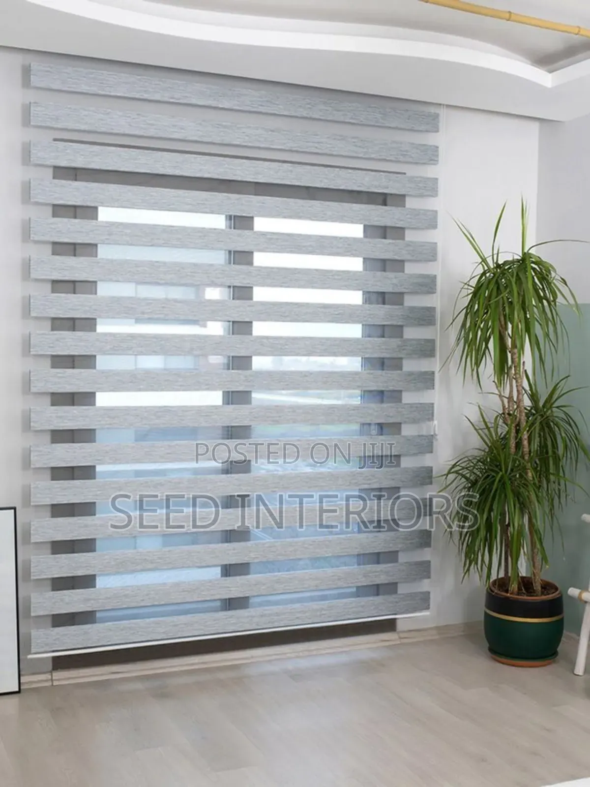 Window Blinds