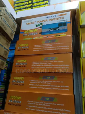 3000w Power Inverter 12/24v