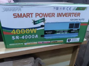 Smart Power Inverter 4000watts 12v/24v