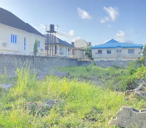 723sqm Land With Cofo at Cooperative Villa Road Ajah Lagos