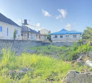 723sqm Land With Cofo at Cooperative Villa Road Ajah Lagos