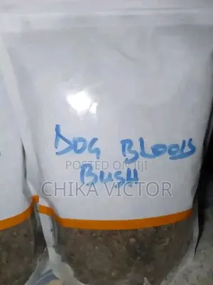 Dog Blood Bush