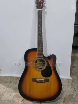 Semi Acoustic Guitar