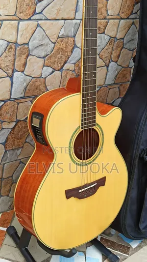 Original Crafter Electro Acoustic Guitar